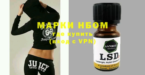ГАЛЛЮЦИНОГЕННЫЕ ГРИБЫ Вязники