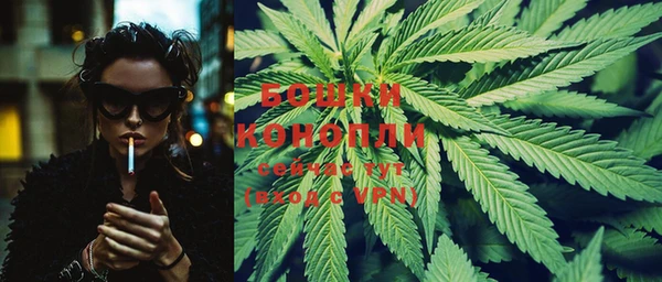 ГАЛЛЮЦИНОГЕННЫЕ ГРИБЫ Вязники