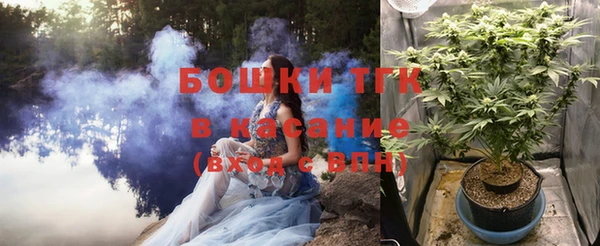 ГАЛЛЮЦИНОГЕННЫЕ ГРИБЫ Вязники