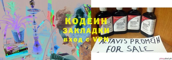 ГАЛЛЮЦИНОГЕННЫЕ ГРИБЫ Вязники